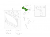 Radiator Upper Hose